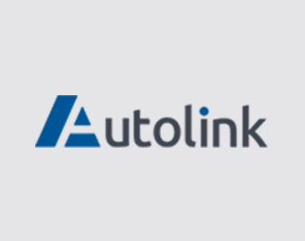 Autolink 欧洲